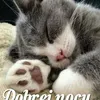 piotrkies