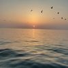 anarabdullayev91