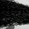 aninha64237