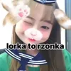grzyb27