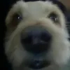 kk_damassu