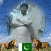 sayedjamilsayed