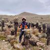 yender_gael.00