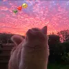nicolelmahdi