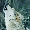 kura___kalere3