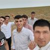 cagr81