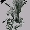 ahmedmedo15694