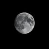 moon88643