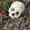 spookybetchhh1989