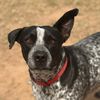 turtletheheelerx