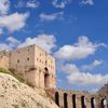 nour_hammad1