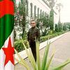 salutkamel.kamelart