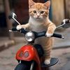 anne_petersonh