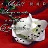 florquispe763