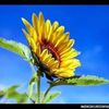 cristina_09012r