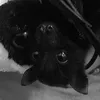 kaylirajustcuz