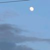 daree0010