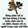 thuonghoai6767