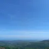 t070706t
