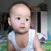 dyl44m0uvjwr