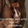 aynura.qaraeva5