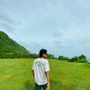 dnvisual