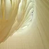 aashja7