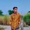 armanalif_41