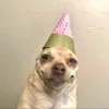 kevinsauruss