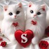 user6ayi4qm25z