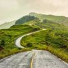 green_road007