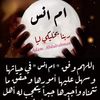 hadef.nour