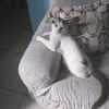 marlucepereira661