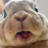 diiegosilvaa__