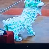 khanh.7231