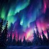 auroraroru4