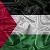 ahmedhawwash