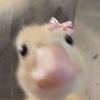 putnss_