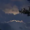 redzo637