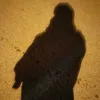 haidz300