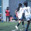 nhaii.novelii