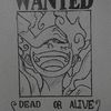 _x.d_luffy