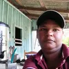 laurosilva237