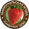 0629_strawberry