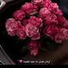 drqamar91