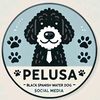 pelusa_adventures