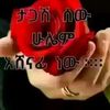 user5546005969812