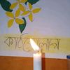 sabbirhasan9365