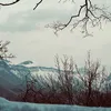 zizo_kurdish7