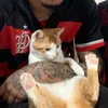 jvd_silva